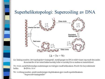 Superhelikstopologi: Supercoiling av DNA