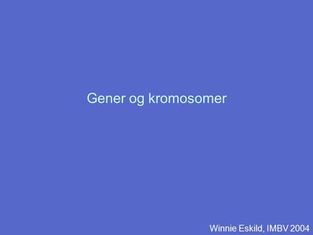 Gener og kromosomer Winnie Eskild, IMBV 2004.